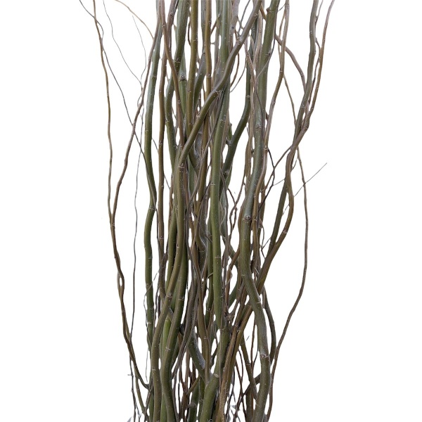 Διακοσμητικά Κλαδιά Salix Αποξηραμένο Φυσικό 180cm